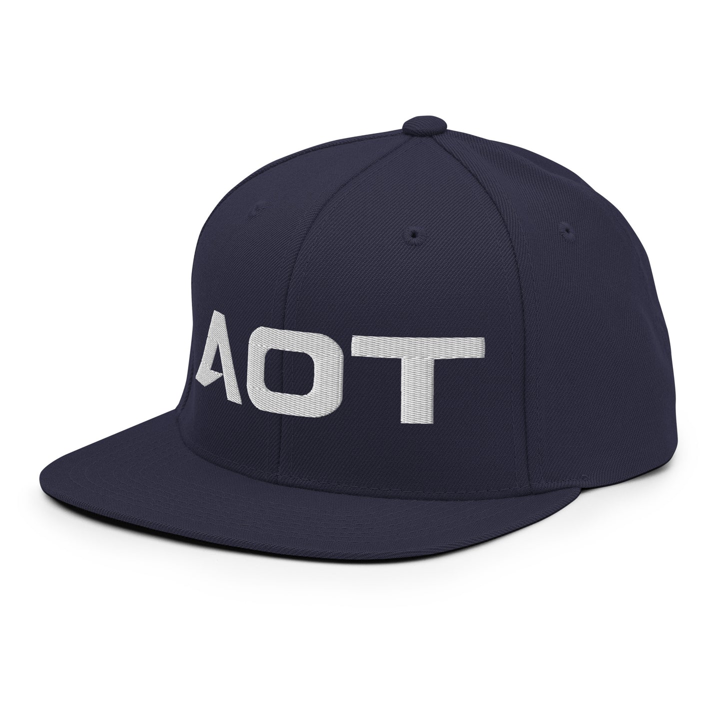 AOT Snapback Hat